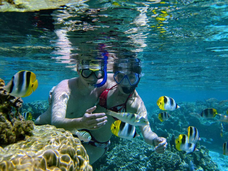 vue sous l'eau d'un couple d'amoureux