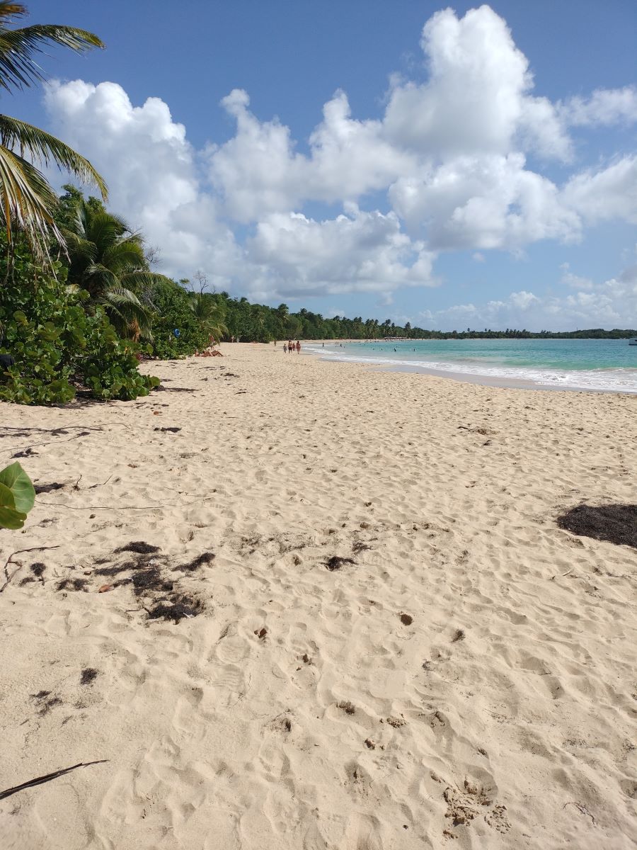 plage en Martinique