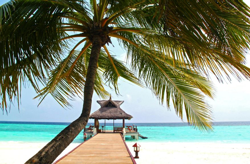 Ile paradisiaque plage, palmier, ponton et mer