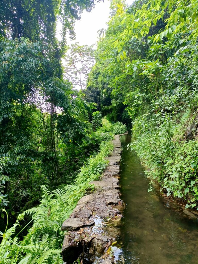 Canal des esclaves -Famille nomade : comment préserver l’harmonie malgré les doutes