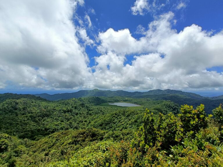 Comment tirer le meilleur de chaque situation - vue de Grand etang