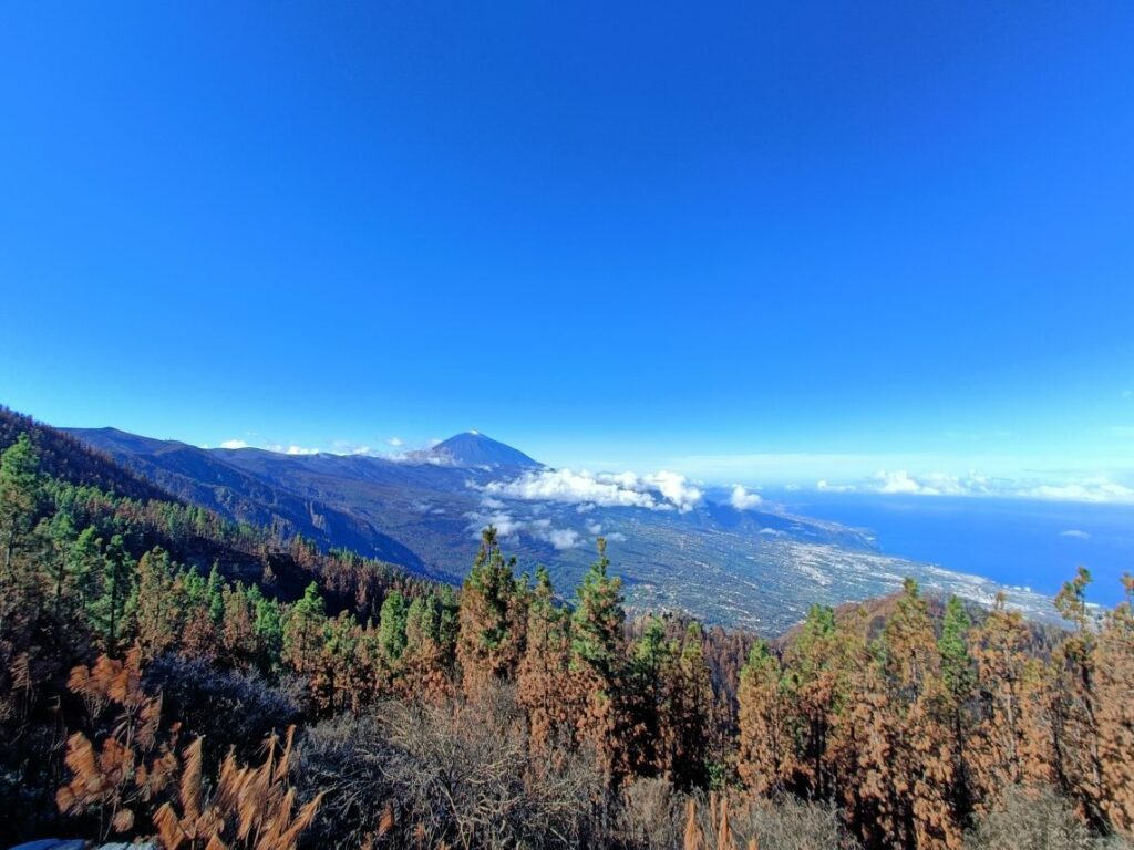 Tenerife, vue sur le Teide.
