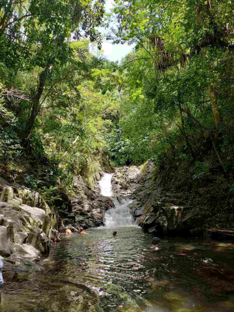 Toboggan du Carbet en Martinique